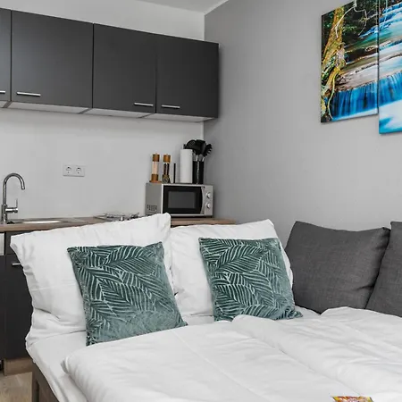 Apartment Federnest Living Messe Monteure Budget Einfache Komfortable 2 Personen Vollausstattung Wlan Tv 55 Zoll Netflix Hochwertige Kueche Und Bad Duisburg